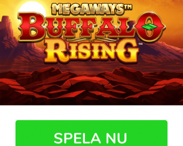 buffalo rising