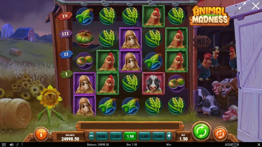 Animal Madness slot